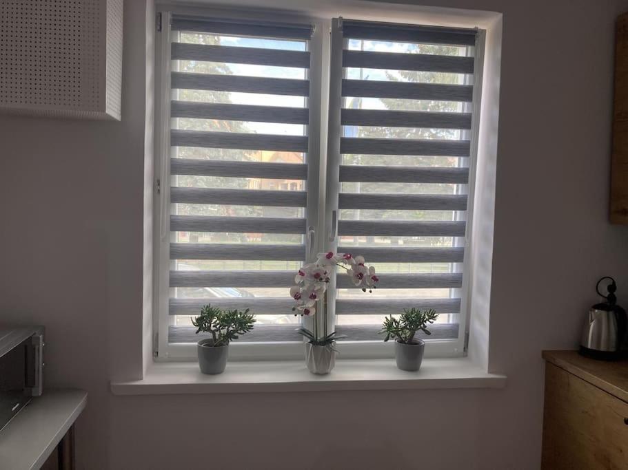 Apartament W Centrum Malborka Ngoại thất bức ảnh